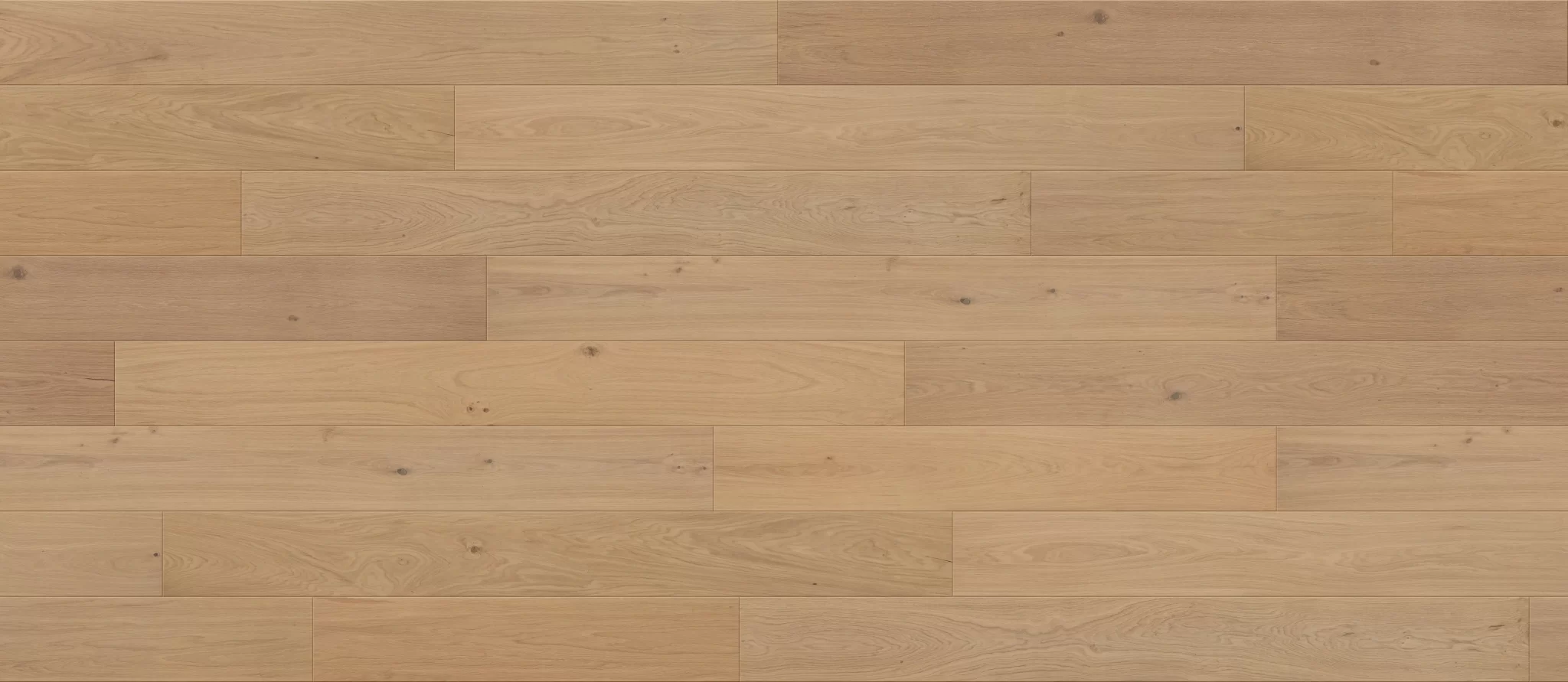 Calypso--2048x891