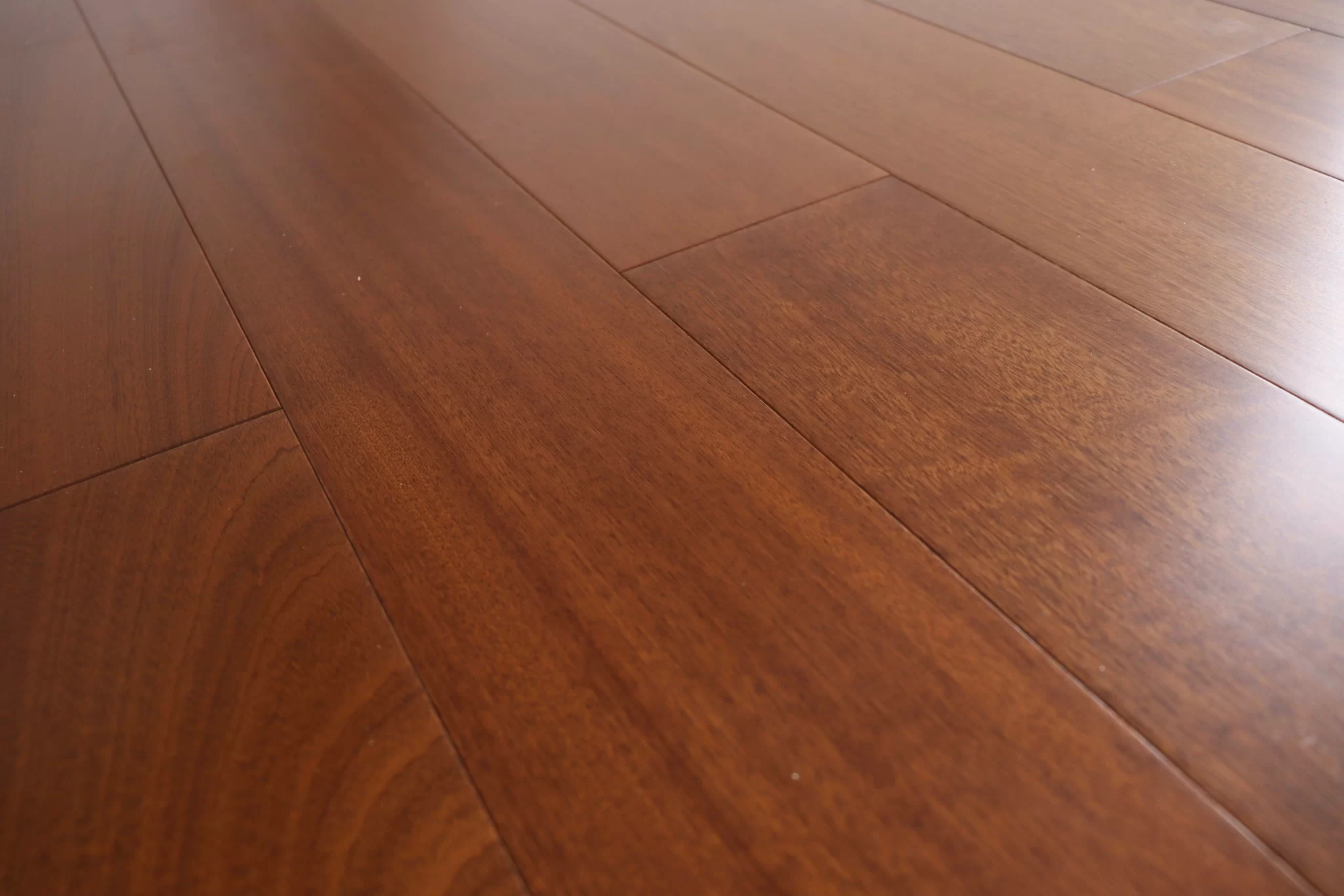 Sapele-3-2048x1365