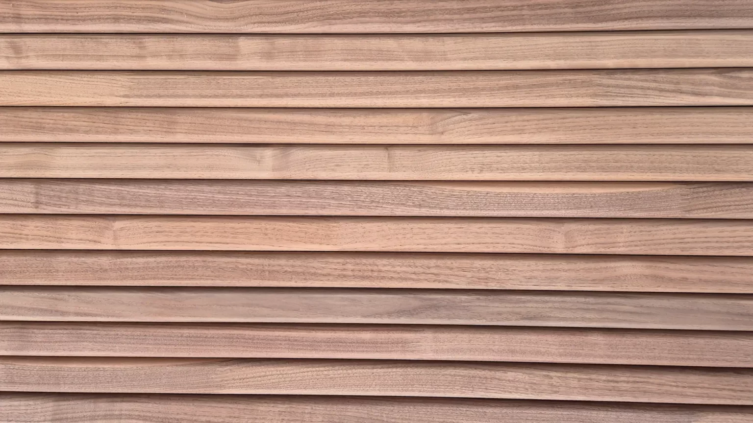Walnut – D60